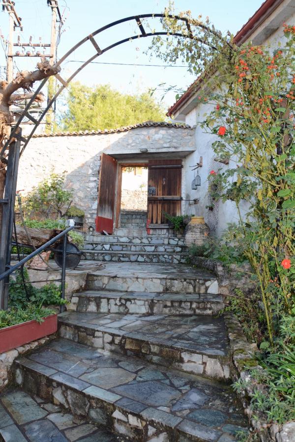 Giorgos' & Noula'S Cottage In Desfina Village- Near Delphi Exteriör bild
